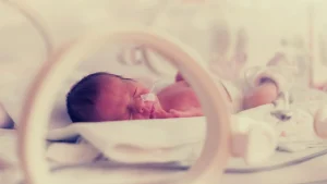 Ruedas para hamaca BabyBjörn